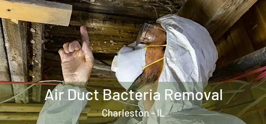 Air Duct Bacteria Removal Charleston - IL