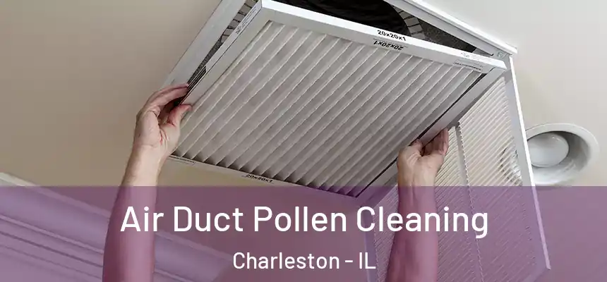 Air Duct Pollen Cleaning Charleston - IL