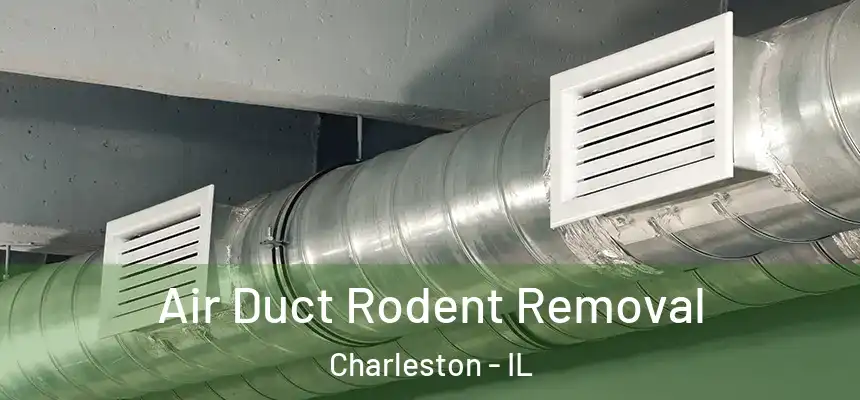  Air Duct Rodent Removal Charleston - IL