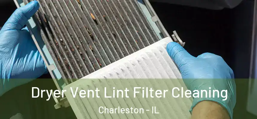 Dryer Vent Lint Filter Cleaning Charleston - IL