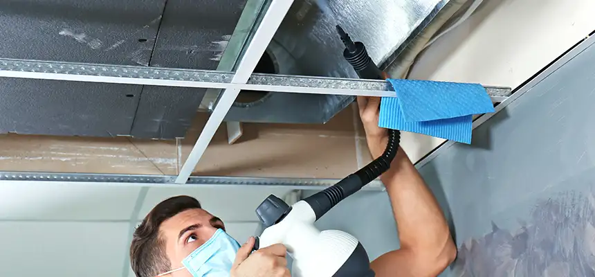 Our Air Duct Rodent Removal Services in Charleston, IL