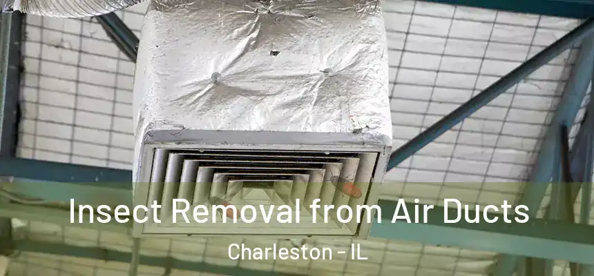  Insect Removal from Air Ducts Charleston - IL