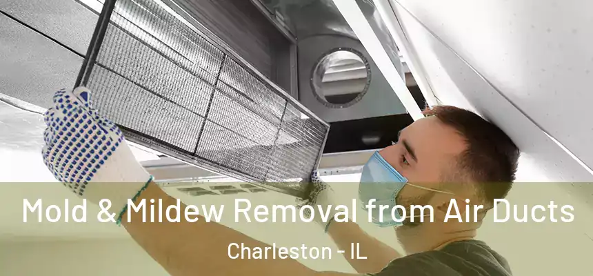  Mold & Mildew Removal from Air Ducts Charleston - IL