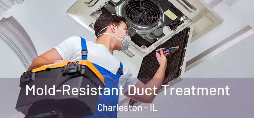  Mold-Resistant Duct Treatment Charleston - IL