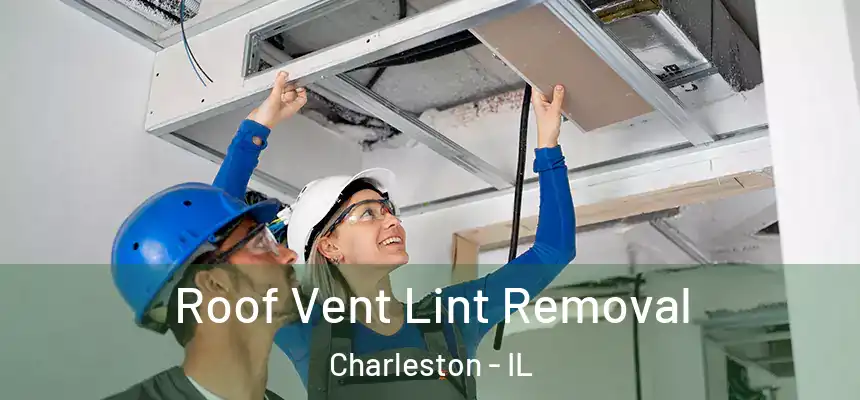  Roof Vent Lint Removal Charleston - IL