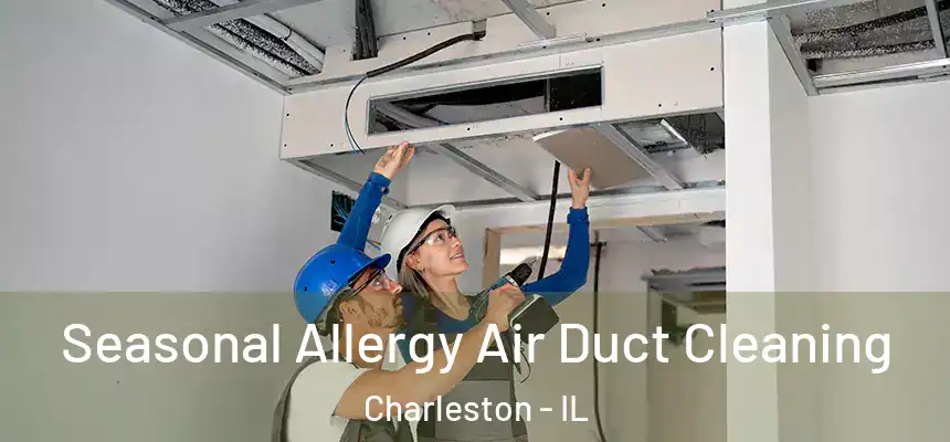  Seasonal Allergy Air Duct Cleaning Charleston - IL