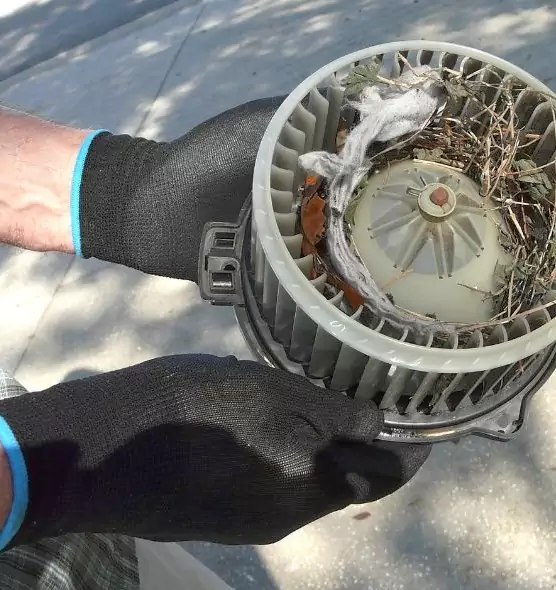 About Air Duct Mice Removal in Charleston, IL