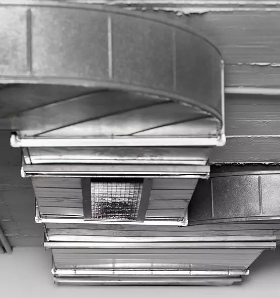 Professional Air Duct Pest Removal in Charleston, IL