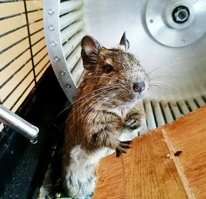 Why Homeowners & Businesses Trust Us Charleston, IL?