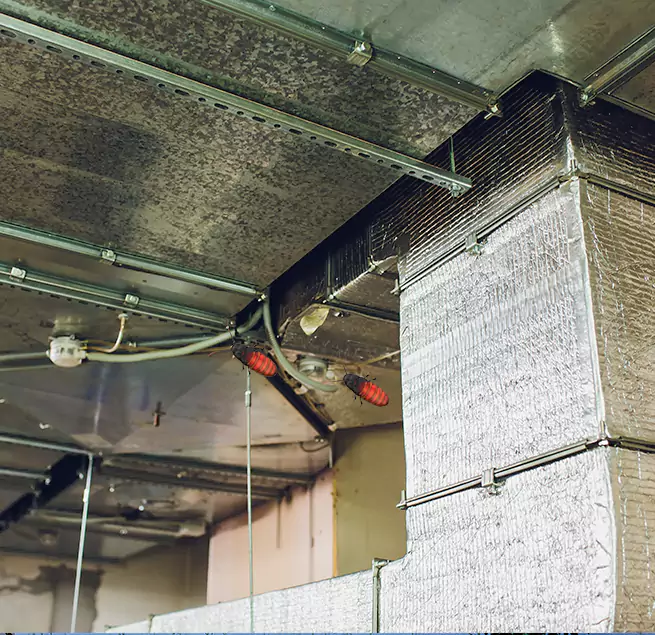 Why Homeowners & Businesses Trust Us Charleston, IL?